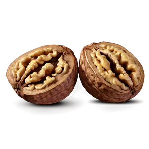 Realistic Walnut PNG 06122024