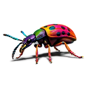 Realistic Weevil Insect Png Fym PNG image