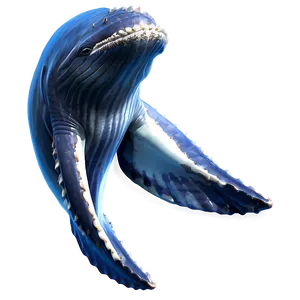 Realistic Whale Png Yrv39 PNG image