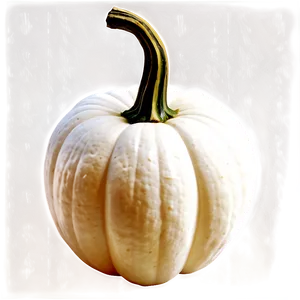 Realistic White Pumpkin Png Lme PNG image