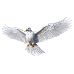 Realistic White Wings PNG 06262024