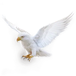 Realistic White Wings PNG 99 PNG