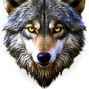 Realistic Wolf Eyes Png 77 PNG image