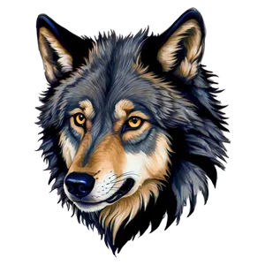Realistic Wolf Face Drawing PNG 3 PNG