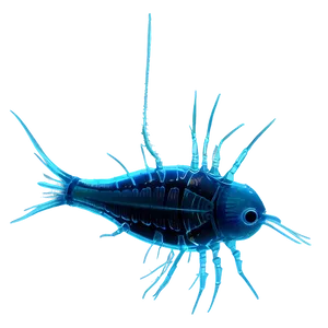 Realistic Zooplankton PNG 06292024