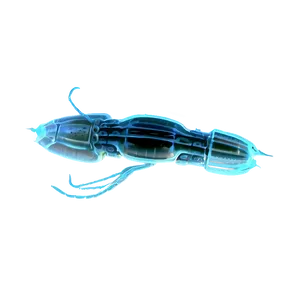 Realistic Zooplankton PNG 92 PNG
