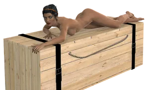Reclining Animated Womanon Crate