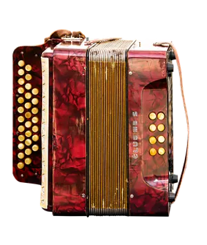 Red Accordion Isolatedon Black