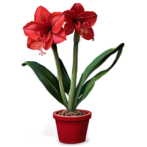 Red Amaryllis Charm PNG 7 PNG
