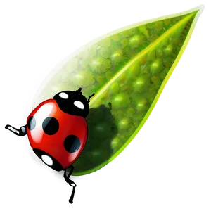 Red And Black Ladybug PNG Btt