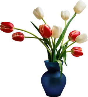 Red_and_ White_ Tulips_in_ Blue_ Vase PNG image