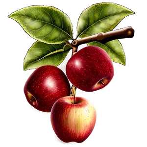 Red Apple Orchard PNG 06272024