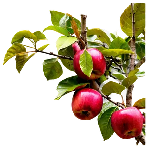 Red Apple Orchard PNG Mot