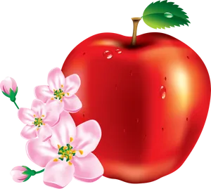 Red Apple With Blossoms PNG