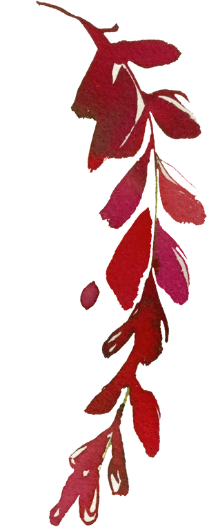 Red Autumn Leaves Illustration PNG image
