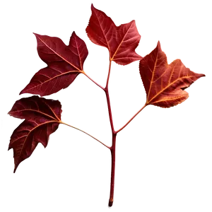 Red Autumn Leaves PNG 74