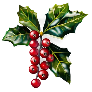 Red Berried Holly PNG Wfm47 PNG