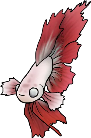 Red Betta Fish Illustration PNG image