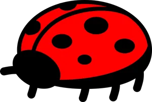 Red Black Ladybug Graphic PNG image