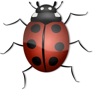 Red Black Ladybug Illustration PNG image