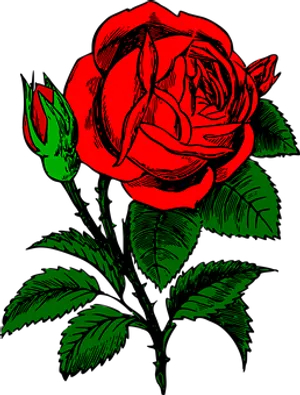 Red Black Rose Artwork