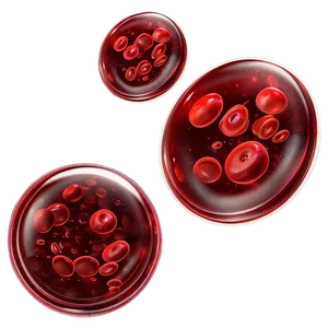 Red Blood Cells And Hemoglobin Png Wmq PNG image