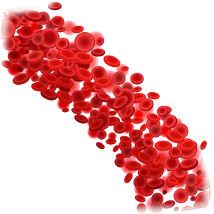 Red Blood Cells Cluster.png PNG image