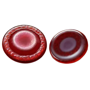 Red Blood Cells Healthcare Png 06292024 PNG image