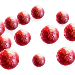 Red Blood Cells PNG 30 PNG