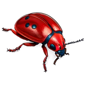 Red Bug PNG 59