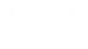 Red Bull Logo Whiteon Dark Background PNG image