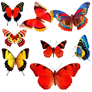 Red Butterflies PNG 57 PNG