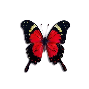 Red Butterfly A