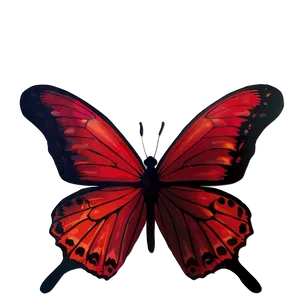 Red Butterfly B PNG