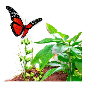 Red Butterfly In Garden PNG 35