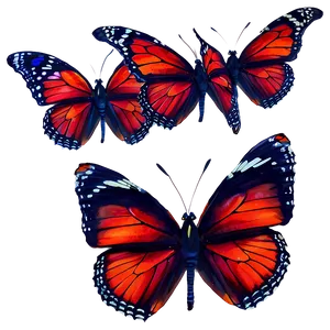Red Butterfly Isolated PNG Abr