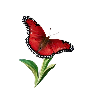 Red Butterfly On Flower PNG 06122024 PNG