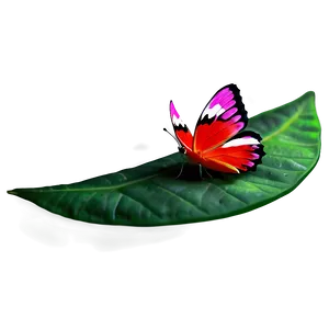 Red Butterfly On Leaf PNG 77 PNG