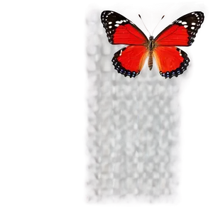 Red Butterfly Top View PNG Gya PNG