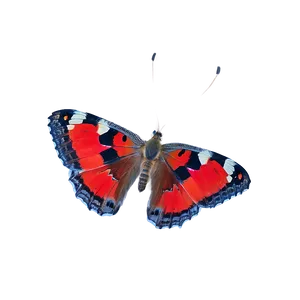 Red Butterfly Underwing PNG 98 PNG