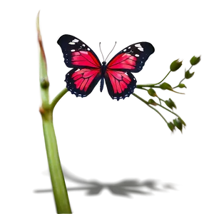 Red Butterfly With Antennae PNG 5