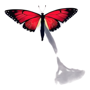 Red Butterfly With Shadows Png 43 PNG image