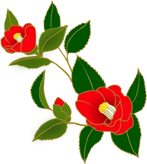 Red Camellia Illustration PNG image