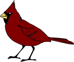 Red Cardinal Bird Illustration PNG image