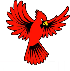 Red Cardinal Bird Illustration PNG image