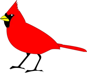 Red Cardinal Bird Vector PNG image