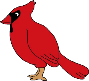Red Cardinal Cartoon Illustration PNG image