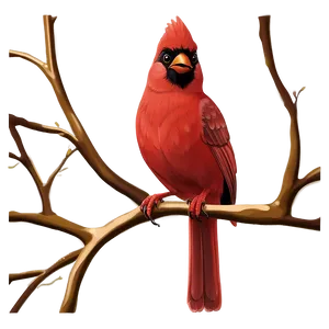 Red Cardinal Cartoon PNG Tmf81 PNG