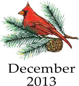 Red Cardinal December2013 PNG image