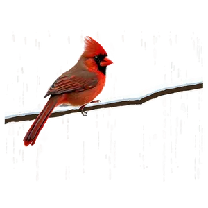 Red Cardinal Digital Art PNG Vrh68 PNG